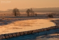 069_Biebrza - marzec 2013